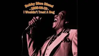 Bobby Blue Bland - I Wouldn't Treat A Dog (1985-06-19, Red Rocks Amphitheatre, Morrison, CO)