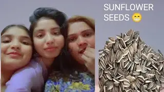 Aaj Mama Sunflower Seeds La Kar Aa😁🤔Aur Full Day Rountion 💝💞