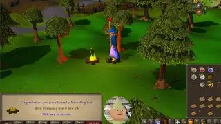 Lofi OSRS Grinding: Firemaking, Woodcutting, & Sea slug Quest