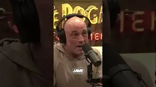 Bruce Springsteen & Joe Rogan: Authenticity in Music?
