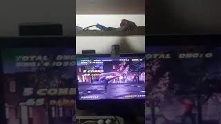 ttt1 lee forest tag combo(1)