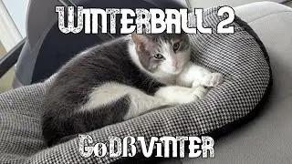 Winterball 2