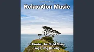 Perfect Soundscapes