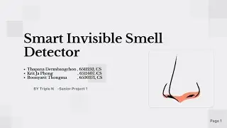 Triple N team (Smart Invisible Smell Detector)