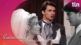 Pablo interrumpe la boda de Julia y Juan de Dios | Cañaveral de pasiones Capítulo 80 (Parte 2)