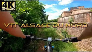 VTT Alsace - de Zinswiller à La Petite Pierre en passant par le château de Lichtenberg