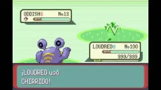 POKEMON EMERALD | LOUDRED | CHIRRIDO | SCREECH