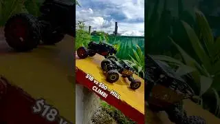 $18 VS $50 RC Challenge Hill Climb Test!🚗💨 #shorts
