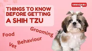 Daily Vlog 96: Shih Tzu Dog Complete Guide | Behaviour, Cost, Food, Grooming & Monthly Expenses