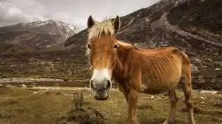 China Digital Media Practicum