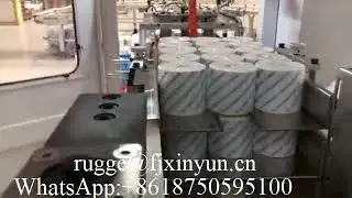 Automatic 30 rolls toilet paper bundle packing machine
