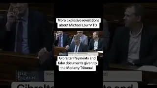 Michael Lowry,  and the Gibraltar Payments- 23/1/25