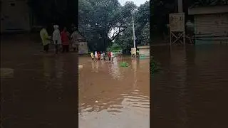 #parli #water #dam #shortvideo