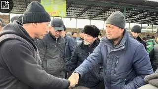 ShOXIDON DEXQON MOL QOY BOZORIDA NARXLAR QANAQA BOLYAPTI KORAMIZ