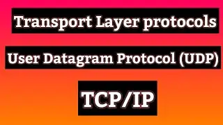 Transport Layer Protocol/User Datagram protocol