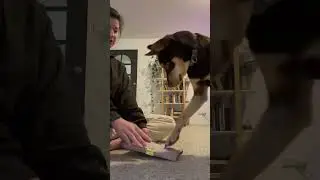Nail file