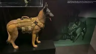 LT Michael P Murphy Navy seal Museum Long Island NY