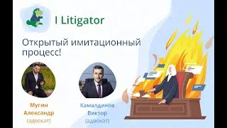 Открытый имитационный судебный процесс онлайн. I Litigator