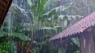 Extreme Heavy Rain Noise 🌧️ Sleep Faster, Reduce Stress & Anxiety | Pure Rain Ambience