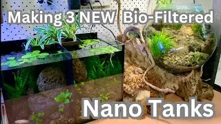NEW Nano Tanks with DIY Bio filters