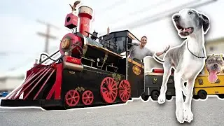 I made a train ride for homeless dogs 🚂🐶 Christmas Surprise!