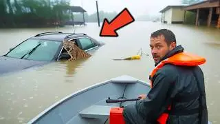 Bobcat Won&rsquo;t Let Go of the Sinking Car in the Flood &mdash; What&rsquo;s Inside Shocks the Entire Rescue Team!