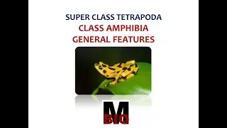 CLASS AMPHIBIA- GENERAL FEATURES