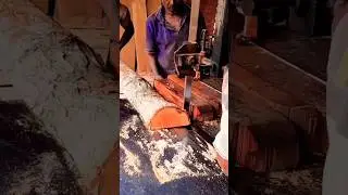 Sawmill Operation l Behind the Scenes. #shorts #woodworking #woodexhibition #woodcarving  #cnc