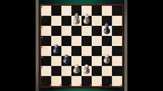 Human vs computer who will win (Chess YT)