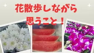 82歳バンコクひとり暮らし