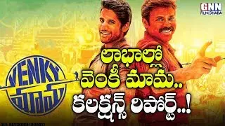 Venky Mama Bags Good Collections Despite Divide Talk | Venky Mama Movie | Venkatesh | GNN FILM DHABA