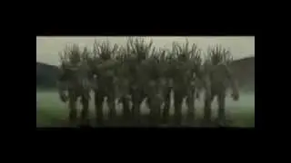 Guinness - Irish Rugby Team