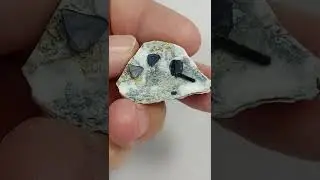 Benitoite with Neptunite, Benitoite Gem Mine, San Benito County, California
