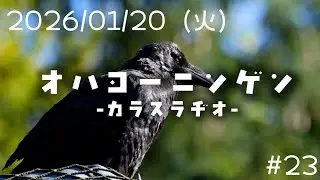 【2026/01/20(火)】 オハヨーニンゲン -カラスラヂオ-  #23