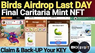 Birds Airdrop Last Day Mint NFT Hidden Caritaria Get Extra Token | Birds Airdrop Claim New Update