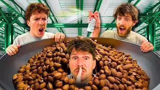 Ultimate Hide And Seek in a Walnut Huller!!! (GONE NUTS🌰!!)