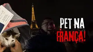 Pet em Solo Franc&ecirc;s | Experi&ecirc;ncia Completa da Viagem
