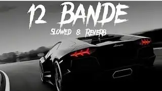 12 Bande Song Slow review Music (aura) 😈🎶 haryana songs #hitsong #fireefirevideo 