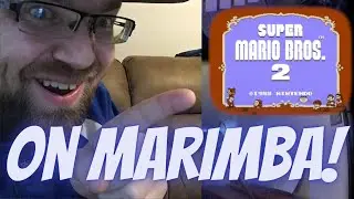 Nostalgic Super Mario Bros. 2 Cave Theme Cover! #vgm