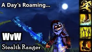 GW2 - WvW Condi Trapper/Stealth Ranger - A Day's Roaming...