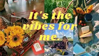 Transforming my car into the ultimate aesthetic, acai bowls, & pinterest picnic!