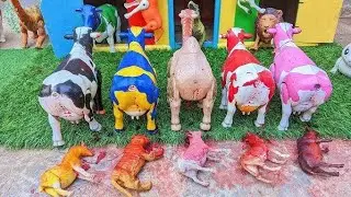 PROSES POTONG SAPI QURBAN !! SIMULASI POTONG SAPI COW MILK COW CARTOON