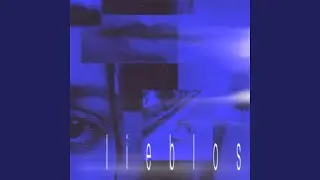 lieblos (Afterhour Remix)