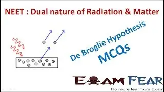 NEET Physics Dual Nature of Radiation and Matter : De Broglie Hypothesis MCQs