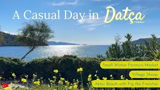 Casual Weekday - Dat&ccedil;a, Turkey | Small Winter Farmers Market, Aktur Beach, Village Sheep | Oh So Pom