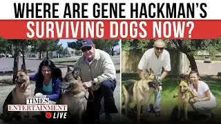 Heartwarming Update On Gene Hackman&rsquo;s Two Surviving Dogs; Rescuer Confirms Their Future | WATCH