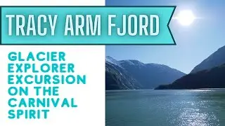 Is the Tracy Arm Fjord Excursion Worth It? Wildlife & Blue Ice on Carnival Spirit | Glacier Explorer