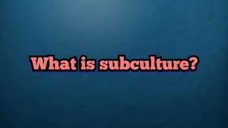 Subculture] Culture] Sociology