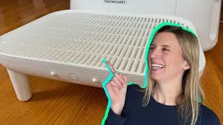 Say Goodbye to Litter Mess with HomerunPET Litter Ramp