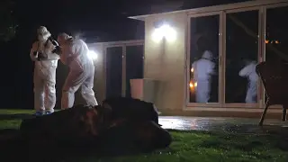 Zombie Apocalypse Party
